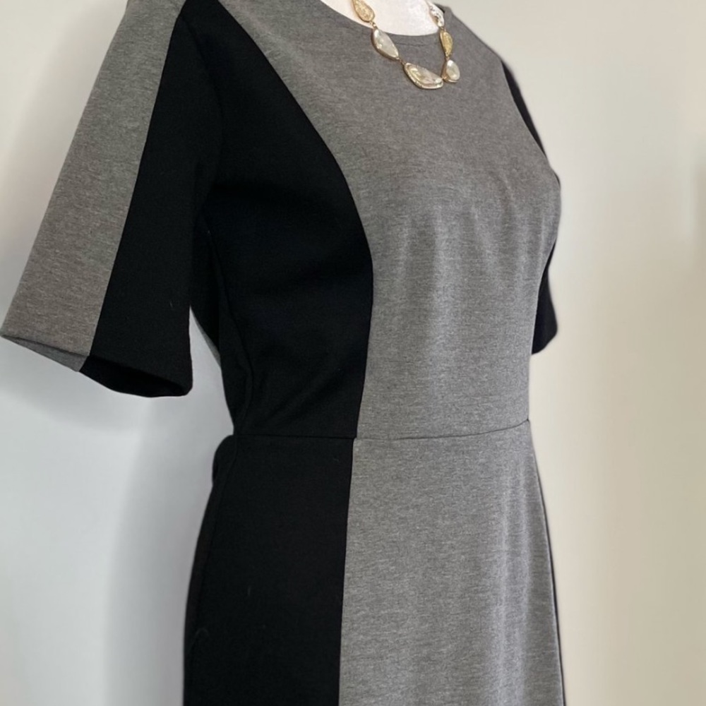 Loft Color Block Dress - Picture 3 of 4